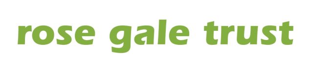 logo icon